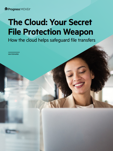 The Cloud: Your Secret File Protection Weapon